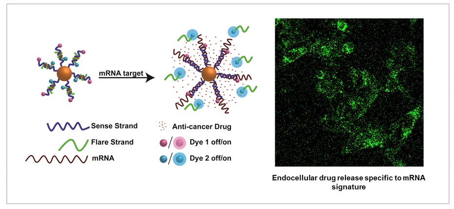 Selective killing of cells using smart nanoparticles